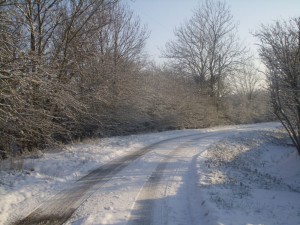 a winter walk