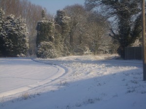 a winter walk