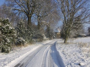 a winter walk