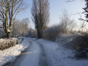 a winter walk