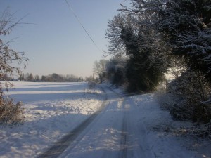 5 a winter walk