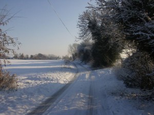 a winter walk