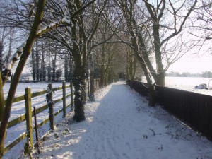 a winter walk