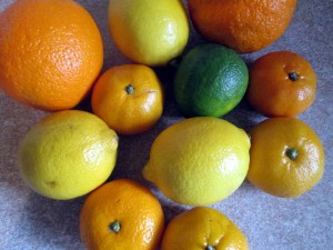 how to dry citrus fruit