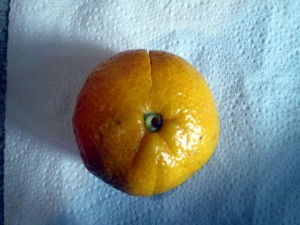 how to dry citrus fruit