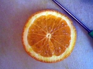 how to dry citrus fruit