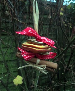 dried fruit decorations