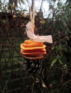 dried fruit decorations