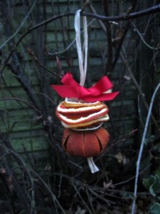 dried fruit decorations