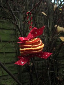 dried fruit decorations