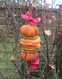 dried fruit decorations