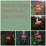 dried fruit decorations