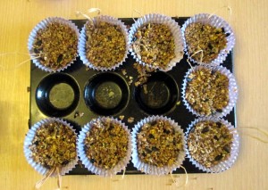 how to make bird feeders