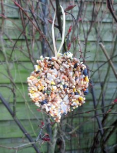 how to make bird feeders