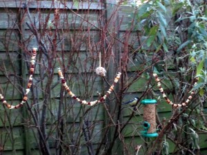 how to make bird feeders