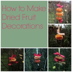 collage-dried-fruit-decorations