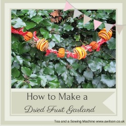 how to make a dried citrus fruit wreath