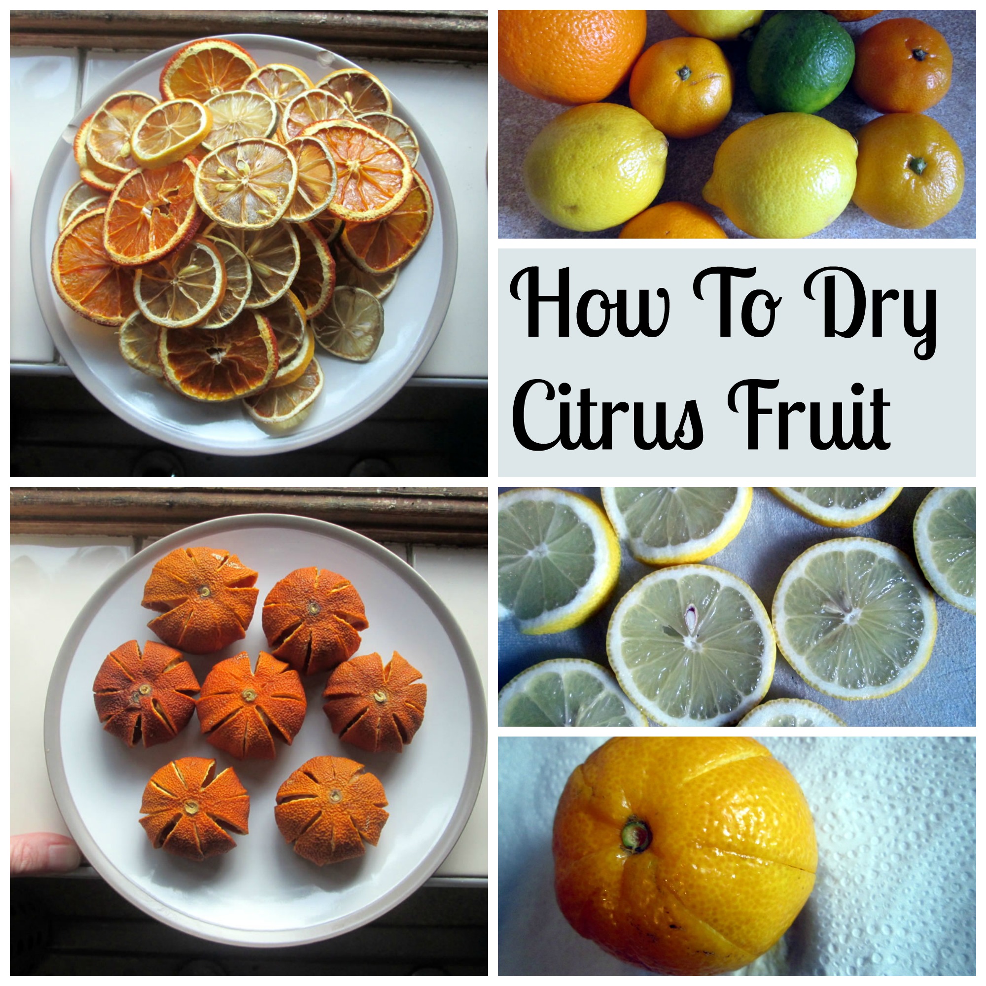 how to dry citrus fruit