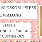 cherry blossom dress sewalong stage 2 drafting bodice