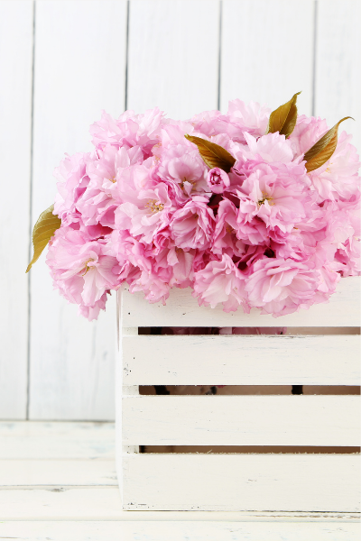 8 Mothers’ Day Gift Ideas That Won’t Break the Bank