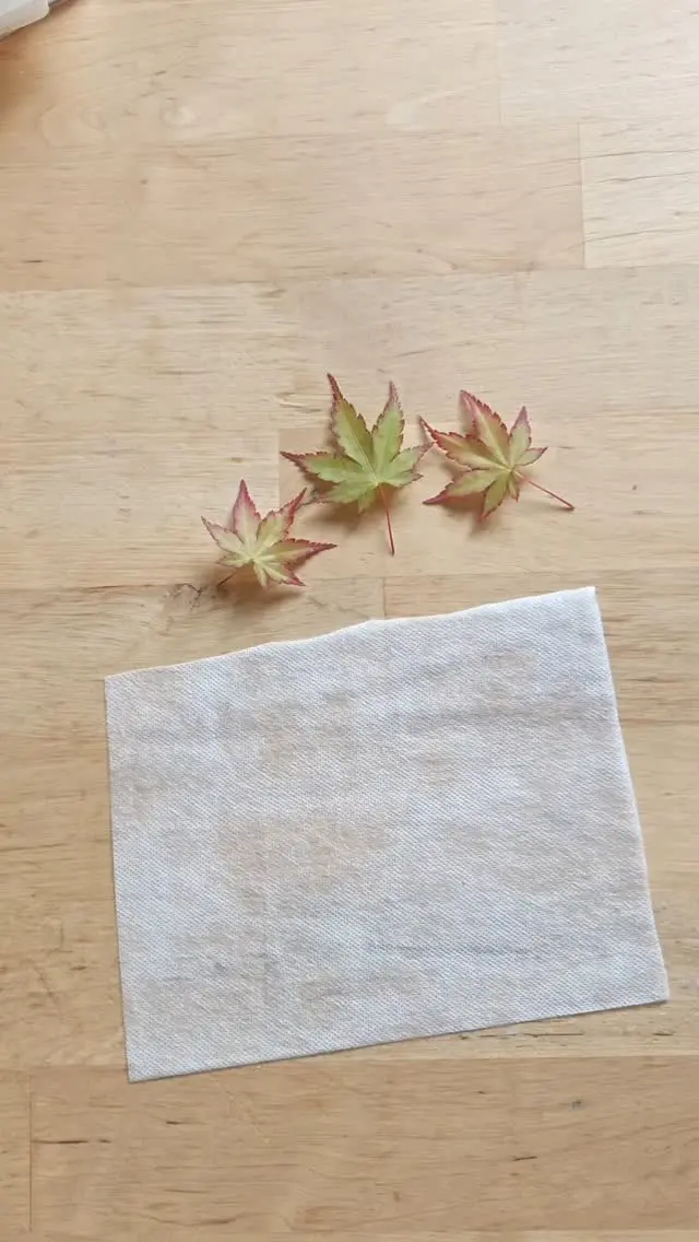 I've been thinking about how nature can be both delicate and resilient at the same time. If it's windy, the blossom goes, and I don't have houseplants because I can't keep them alive!

But after the winter, even the deadest looking plants spring back to life. Even if the garden is quite tidy before you go on holiday, when you come back, everything has grown, especially the weeds! And I love to see how nature takes back things people have abandoned, even if the place was entirely concrete.

Thinking about delicate things, I wanted to try making skeleton leaves using machine embroidery and soluble interfacing. It was quite fun, although a little bit fiddly.

And just in case you're wondering, if you accidently drop the soluble interfacing into a cup of tea, it will dissolve instantly, but you can drink the tea with no adverse effects! 💖😅☕

#creativelife #inspiredbynature #skeletonleaves #sewing #springcrafts