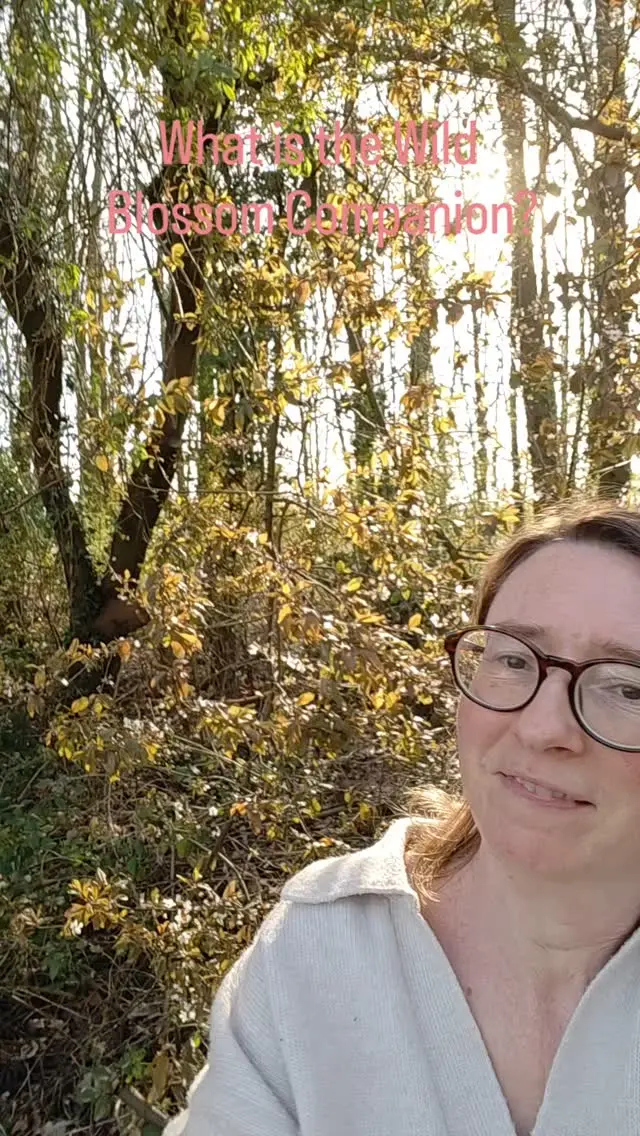 What does a month in Wild Blossom Companion look like?

Each month brings:
🌸 A seasonal theme
🌸 Encouragement to notice and enjoy the small things
🌸 Some lovely quotes
🌸 Journaling prompts if that's your thing

It’s not prescriptive or bossy, but gentle and flexible. You can dip in and out, try the bits you like, or just enjoy and breathing space.

May's Companion is on the theme of green. Starting with a walk, I invite you notice different greens. Then there are quotes, some creative things to try and some journalling prompts.

I'll share more as it progresses 🌸💖🌞🌱🌸

#wildblossomcompanion #creativepause #seasonalinspiration #creativelife #slowlivingwithpurpose