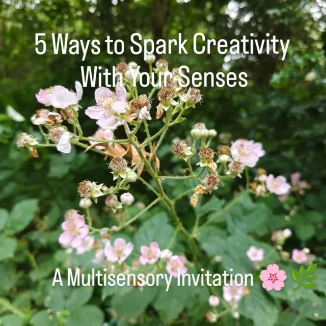 Helping inspiration to find us doesn't have to be complicated. A little walk and our senses are sometimes all we need. 

Even one small sensory thing can spark an idea. 

Swipe through the carousel for prompt for each sense that you can try when you are out. I've combined smell and taste, at least until the blackberries are ripe!

What sense feels most inspiring to you at the moment? 🌸🌿🌱

#creativelife #creativity #natureinspired #summer #slowdownabit #creativityeveryday